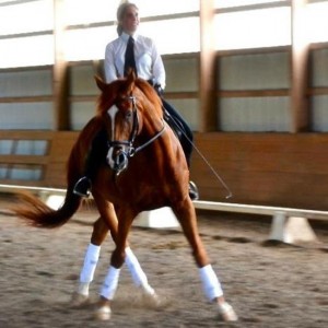 french classical dressage training clinician trainer lessons clinics maria katsamanis4 300x300