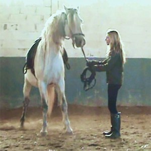 maria katsamanis horse clinics classical dressage art of horsemanship7 300x300