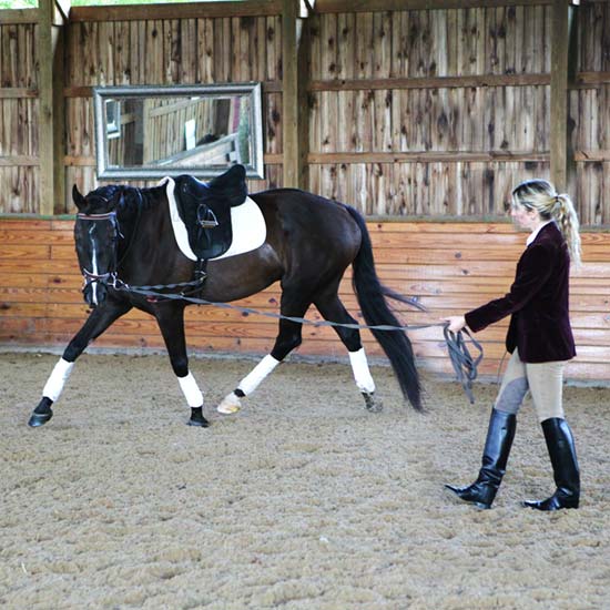 maria-katsamanis-horse-clinics-classical-dressage-art-of-horsemanship3.jpg
