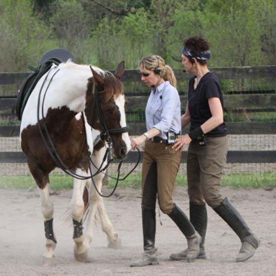 maria-katsamanis-horse-clinics-classical-dressage-art-of-horsemanship4.jpg