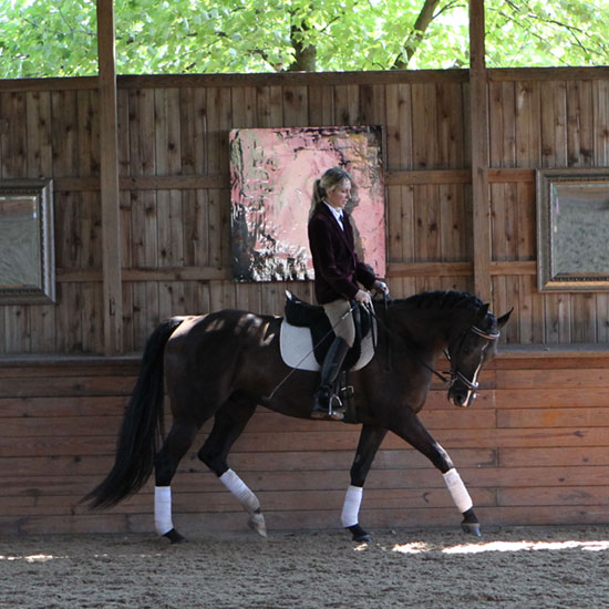maria-katsamanis-horse-training3.jpg